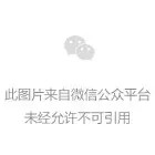二手车过户前违章怎么核对:交易前建议检查的几个项目 二手车过户前违章怎么核对:交易前建议检查的几个项目